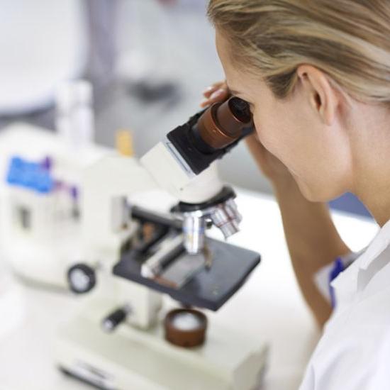 Chlamydia trachomatis DNA jakościowo